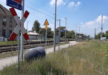 Randonnée A pied Salzatal - Braunkohlenpfad - Photo