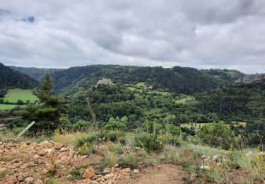 Trail Walking Le Monastier-sur-Gazeille - Steveson 2 Monastier-Bouchet - Photo