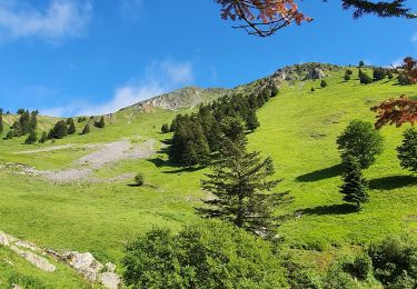 Randonnée Marche Ferrère - montagne d'Areng depuis la piste forestière après Férrères - Photo