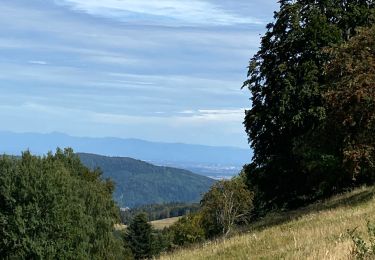 Randonnée Marche Kirchberg - Lochberg ferme auberge - Photo