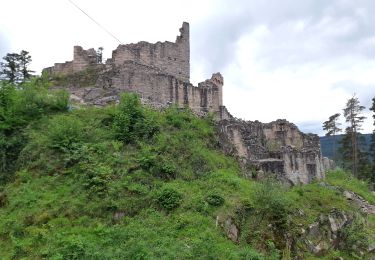 Tocht Stappen Ottrott - A la découverte du Kagenfels - Photo