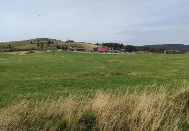 Tocht Stappen Ranspach - Markstein  Hanenbrpunnen - Photo