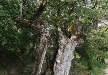 Trail Walking Gordes - Gordes Circular Walk from Hotel Les Bories via Gordes Center - Photo