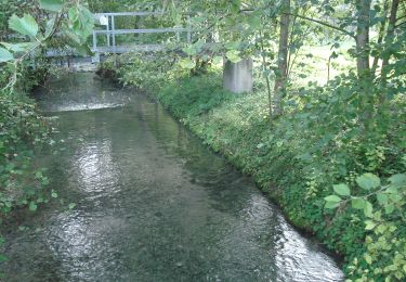 Excursión A pie Rottenburg am Neckar - Krreuzerfeld-Bad Nidernau - Photo