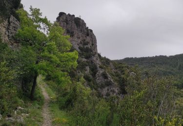 Tocht Stappen Entrages - Entrages - col de la Pierre Basse - ravin de la Fuby - boucle retour Entrages  - Photo