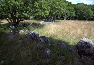 Percorso A piedi Sconosciuto - Enbart promenader 4,5 km - Photo