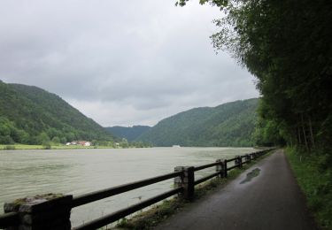 Trail On foot Hofkirchen im Mühlkreis - Naturlehrpfad Donauschlinge - Photo