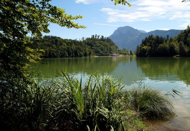 Tour Zu Fuß Kiefersfelden - Gießenbachklamm Rundweg - Photo