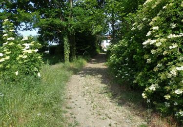 Trail On foot Jodoigne - #190000 - Souveraine Tienne Strichaux - Photo