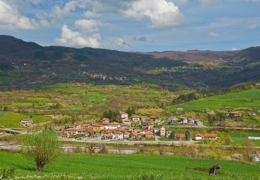 Tour Zu Fuß Santa Margherita di Staffora - IT-14 - Photo