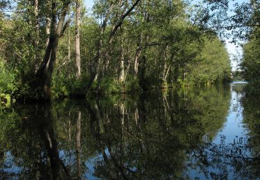 Percorso A piedi Fürstenberg/Havel - Woblitzrundweg - Photo