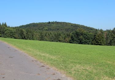 Tour Zu Fuß Hilders - Rundweg 19, Eckweisbach - Photo