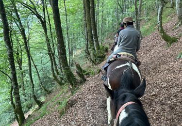 Trail Horseback riding Accous - Accous-Lescun-Lhers - Photo
