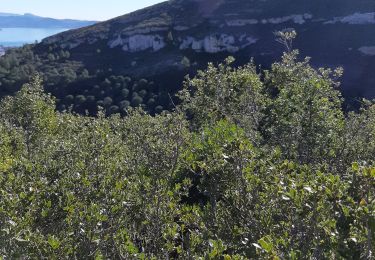 Trail Walking La Ciotat - la ciotat le pont naturek - Photo