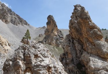 Tour Wandern Cervières - isoard Col des portes  - Photo