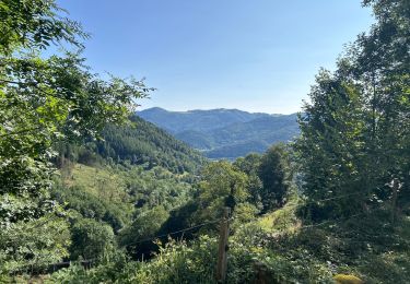 Excursión sport Saint-Amarin - Mehrbachel  - Photo