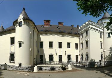 Excursión A pie Carei - Mária út Foieni (Mezőfény) - Tiream (Mezőterem) M01/39a - Photo