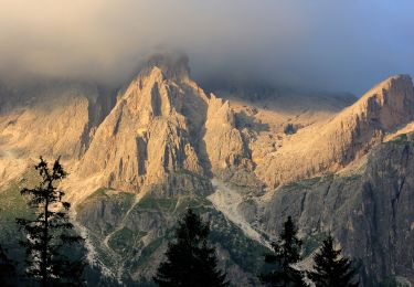 Percorso A piedi Primiero San Martino di Castrozza - Sentiero di Val Zanchetta - Photo
