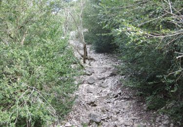 Trail Walking Cheval-Blanc - PF-Trou du Rat - Mayorques - Photo