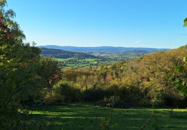 Tocht Stappen Uchon - Veauvillard - Velle - Photo