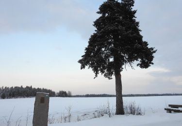 Percorso A piedi Kouvola - Alakylän luontopolku - Photo