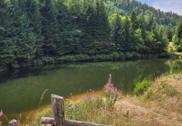 Tour Wandern Gerdsee - 2022-07-22 Gérardmer 31km - Photo