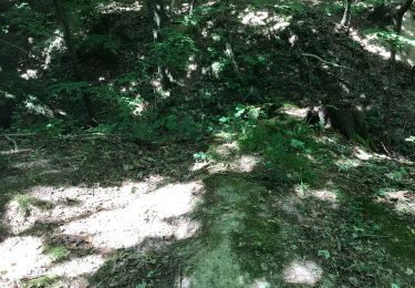 Tour Wandern Lyons-la-Forêt - La  bouvardiere - Photo