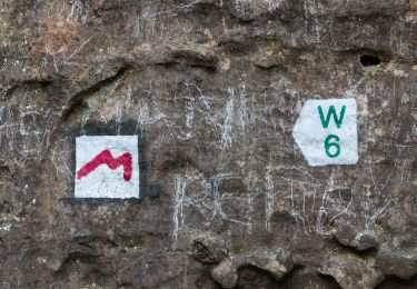 Tocht Te voet Consdorf - W7 Hiking Tour - Photo