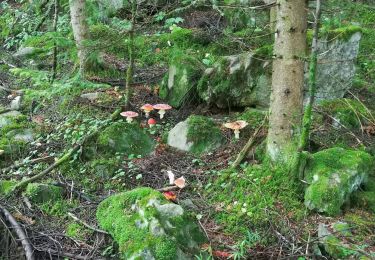 Tocht Stappen Colmars - beauvezer_villars  j5: le pont de la serre - Photo