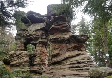 Randonnée Marche Urmatt - Lutzelhouse  MFSperl RocherMutzig - Photo