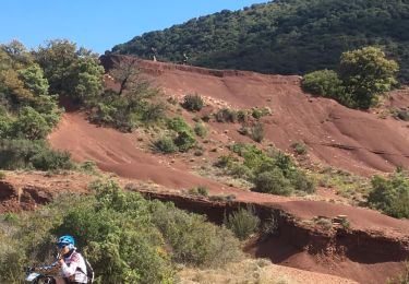 Excursión Bici de montaña Saint-Saturnin-de-Lucian - 9949686-Les rudes - Photo