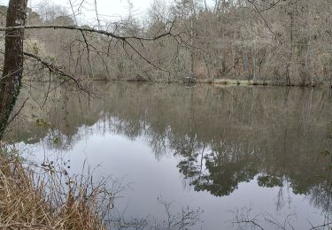 Tocht Stappen Fumel - Rando du tir - Photo