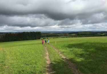 Trail Walking Houffalize - Bonnerue-ADEPS-2020-20kM - Photo