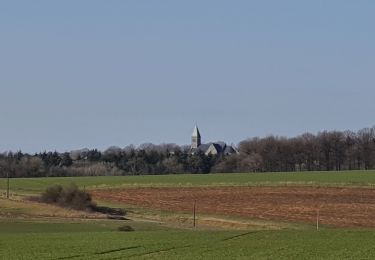 Tour Wandern Dinant - rando furfooz 2/03/2021 - Photo