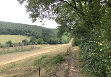 Trail Walking Assesse - Sorinne la longue - faux les tombes - Gesves  - Photo