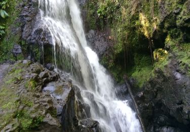 Tour Wandern Goyave - cascade bras de fort - Photo