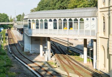 Percorso A piedi Wedel - Wanderweg Nr. 16 (Blankenese - Wedel) - Photo