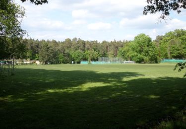 Randonnée A pied  - Erlenstegener Rundweg - Photo