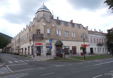 Randonnée A pied Sátoraljaújhely - K▲ (Nagy-nyugodó - Zsólyomka - Sátoraljaújhely Táncsics tér) - Photo