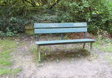 Randonnée Marche Genappe - De Bousval à Ways Genappe - Photo