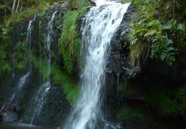 Randonnée Marche Albepierre-Bredons - Albepierre - Plomb du Cantal et des cascades - Photo
