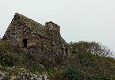 Randonnée Marche Champeaux - les falaises de Carolles - Champeaux - Photo