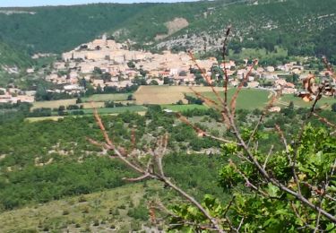 Tour Wandern Banon - Autour du hameau du Largue - Photo