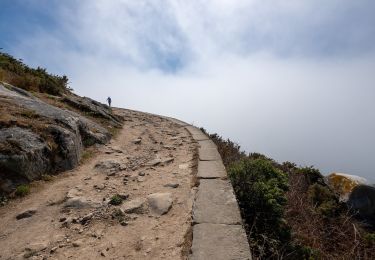 Percorso A piedi Vigo - Roteiro Illas Cíes 1: O Monte Faro - Photo