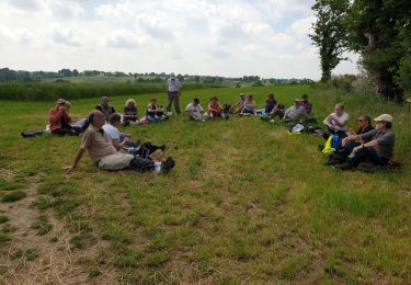 Randonnée Marche Saint-Calais-du-Désert - Les Galocheux - la boucle des ruisseaux - Photo