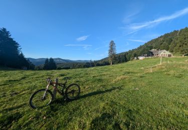 Tocht Mountainbike Metzeral - Tour du Gaschney par le Sattel - Photo