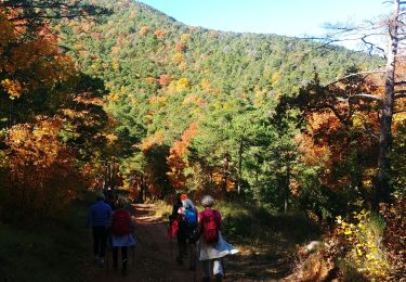 Trail Walking Aups - Vérignon.Version longue  - Photo