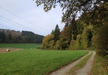 Percorso A piedi Trendelburg - Grenzland-Rundweg 1 - Photo