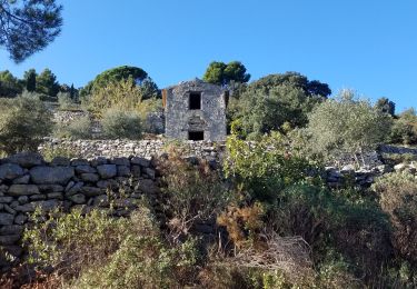 Tour Wandern Aurons - ste croix-Aurons - Photo