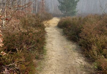 Trail Walking Rebecq - Rebecq _ GR  _ BW _ RB15 - Photo